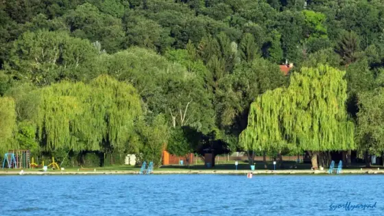 Balatonalmádi Pályázati felhívás – 2026. STRANDSZEZON