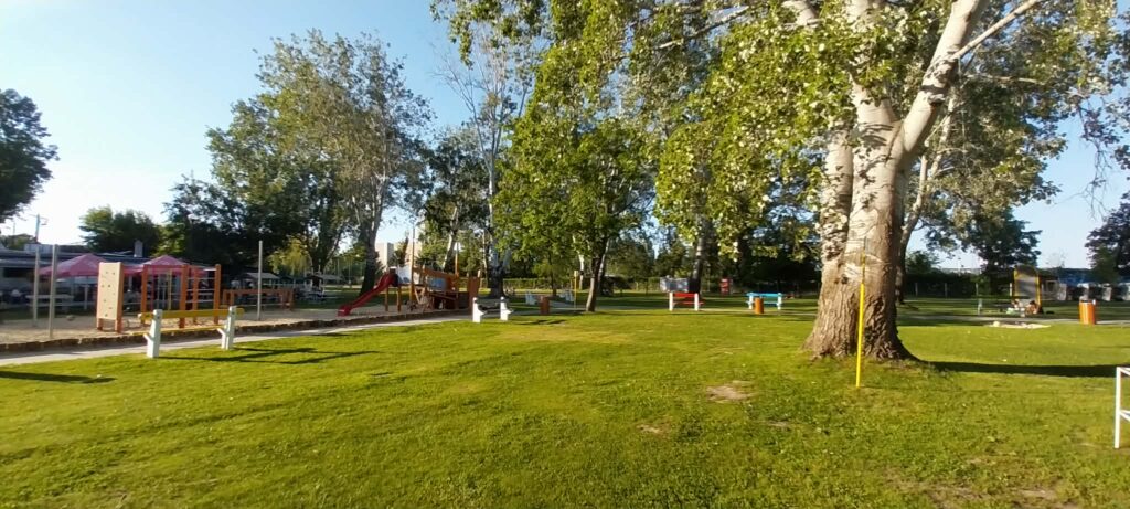 Sunlit park scene with a playground, tall trees, and a green lawn in the foreground.
