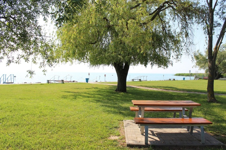 Picnic table on a brick pad in a sunny lakeside park with a large tree and green lawn.